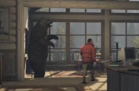 Bear.jpg