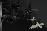 The in-game models for the Ravens