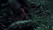 An unknown person running in the forest.