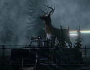 Deerfestfloat.jpg (159 KB)