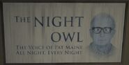 The Night Owl poster