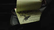 Strange drawings and writings.