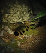 Main 01 clue barefoot wl