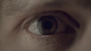 A close-up of Jake's eye.
