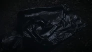 Empty body bag.png (1.01 MB) The body bag is empty.