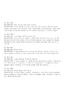 CATALOGUE OF RUDOLF LANE PRODUCTION FROM PAINTING SESSIONS ON [REDACTED] Page 2 - 9/08/2023