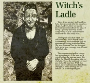 Sign art by Jenna Seikkula.