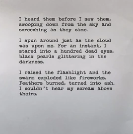 Wake Attacked by Birds