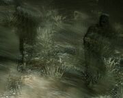 Invisibletaken.jpg