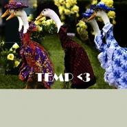 murder_appartment_calendar_b_01_d