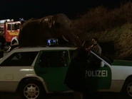 Dieclique5.jpg (70 KB) Tom wird von einem Elefanten belästigt.