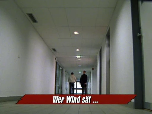 Wer wind sät