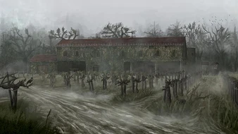 Wizard of Wines.jpg