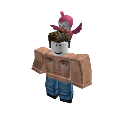 Flamingo Hat Albertsstuff Wiki Fandom - what is flamingo roblox username