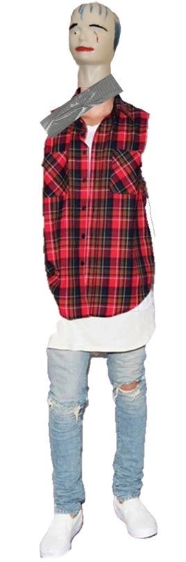 Ninja