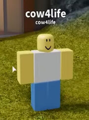 Meow2