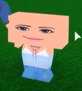 Rectangular prism head.