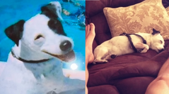 The dog herself