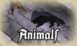 Animals.png