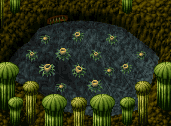 Plant basin.png