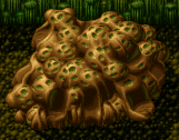 Plant sofa.png