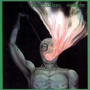 180px-Bruce Cockburn - Stealing Fire