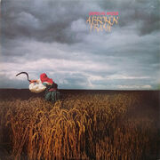 A Broken Frame