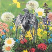 180px-Current 93 - Swastikas for Noddy