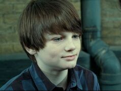 Albus Potter, Harry Potter Wiki