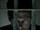 Solitary.png