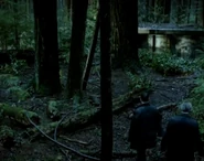 2ndalca2.png (195 KB) The forest in which the complex is situated.