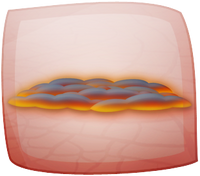 I 04 01.png