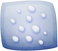 I 05 03.png