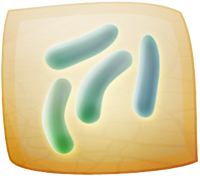 I 06 14.png