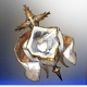 Nadine Solamber Icon