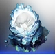 Sylva Solamber Icon