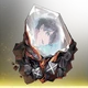 Fleur Solamber Icon