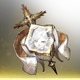 Carleen Solamber Icon