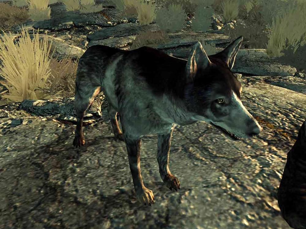 fallout 4 dog breed mod