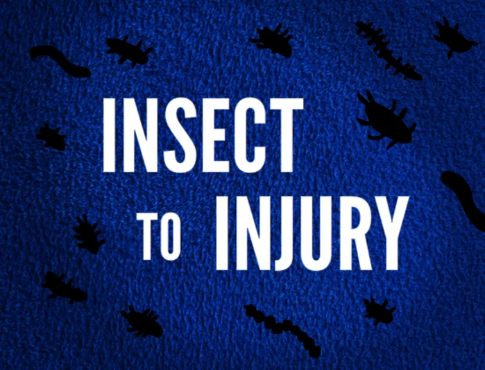 Insect To Injury (Mouse & Rat) | Aldo Boomer Wiki | Fandom