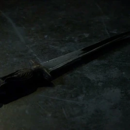 118999942 2763755413724792 8087527122645937178 n