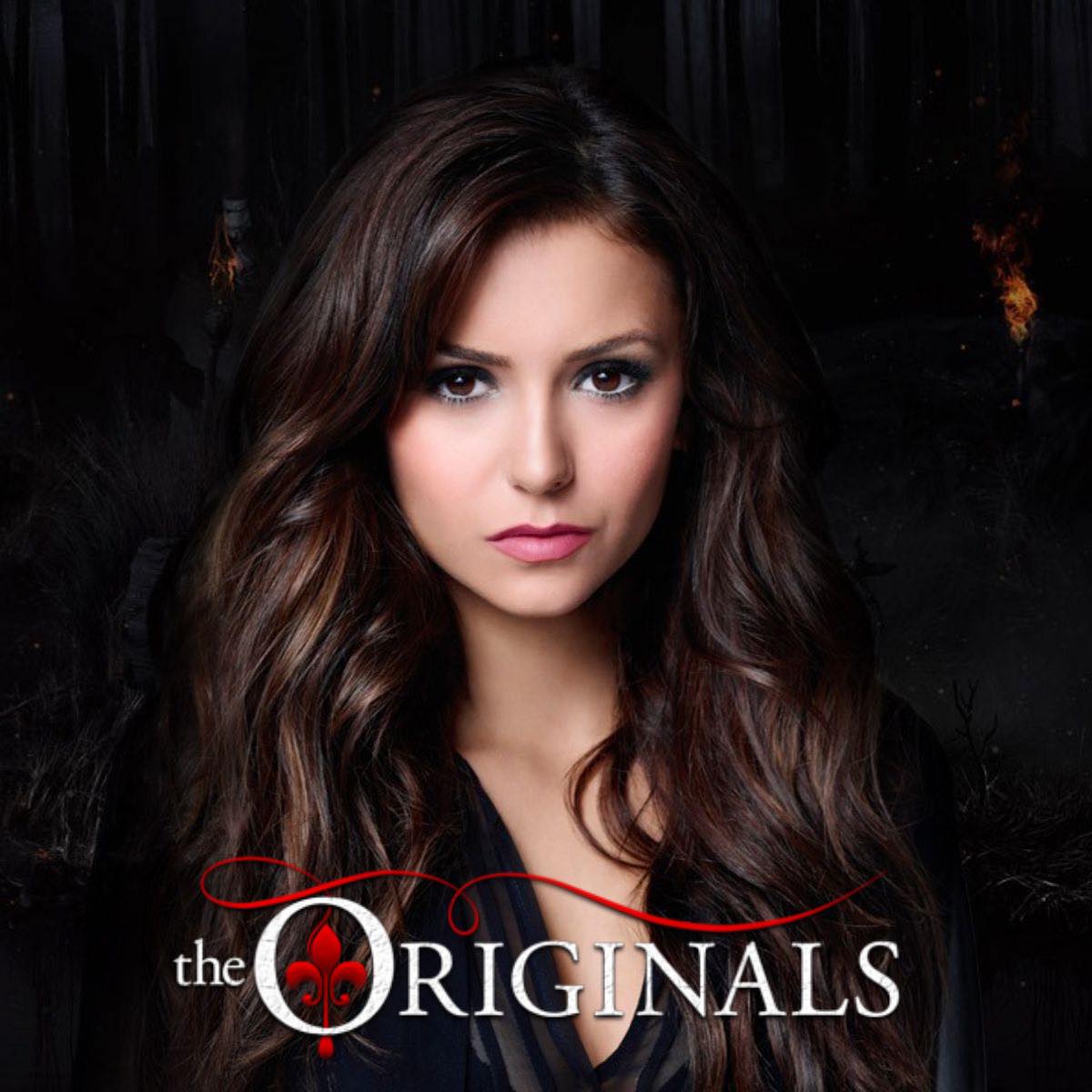 The Originals (Serie), Wiki Vampire Diaries