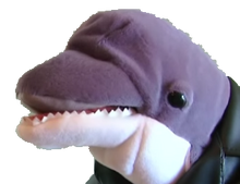 LoanDolphinTransparent.png