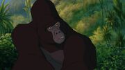 Kerchak