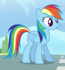 Rainbow Dash ID S3E7