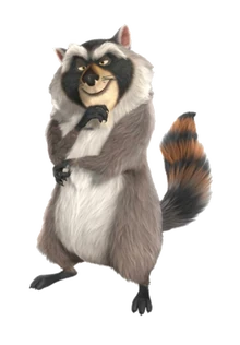Raccon Transparent