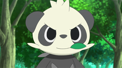 The 10 Best Bear Pokémon In The Series (Ranked) – FandomSpot