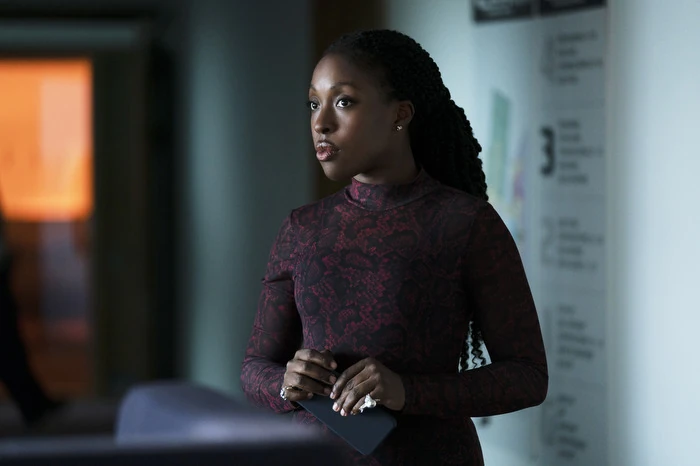 Assassin | Alex Rider Wiki | Fandom