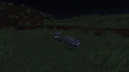 Raccoon Glowing Eyes.png (808 KB) Two Raccoons at night, which shows their glowing eyes.