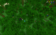 A flock of Toucans flying with a large flock of Parrots.